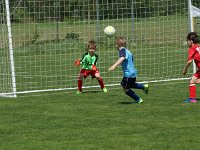 U7 U8 Turnier 13052017 (25)